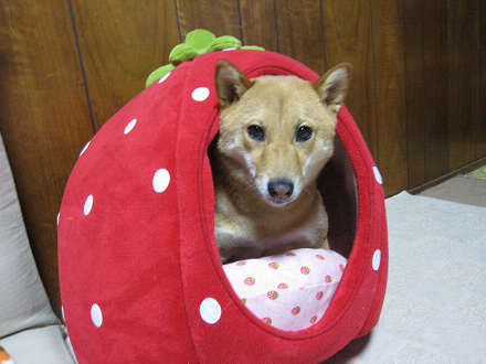 resize0104bbb.jpg
