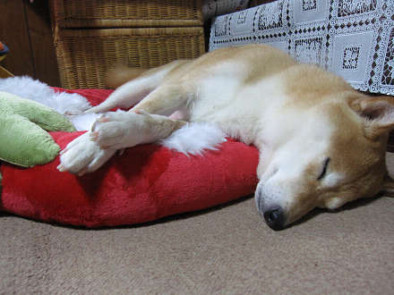 resize0104cc.jpg