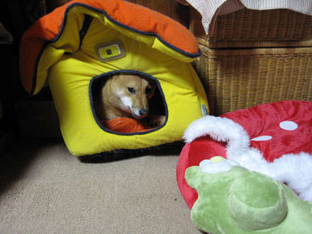 resize0104ccc.jpg