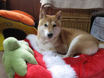 resize0104e.jpg