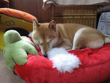 resize0104f.jpg