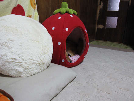 resize0104g.jpg