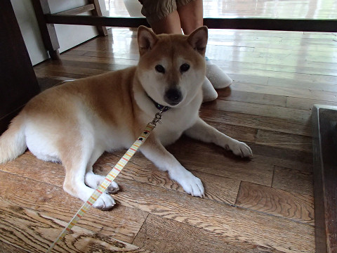 resize0106.jpg