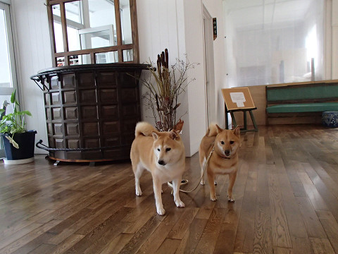 resize0110.jpg