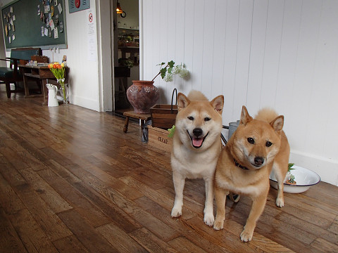 resize0112.jpg