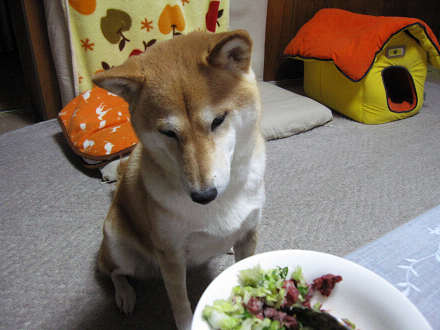 resize0114.jpg