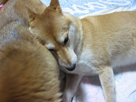 resize0117.jpg