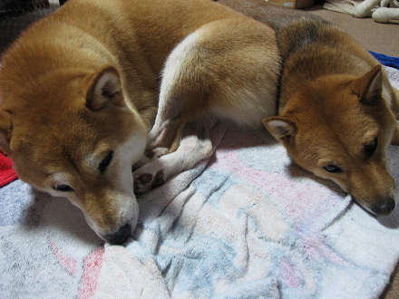 resize0118.jpg