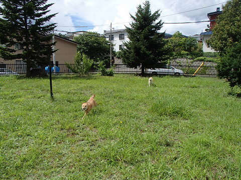 resize0133.jpg