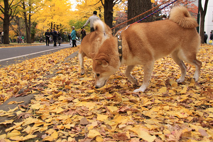 resize0134f.jpg