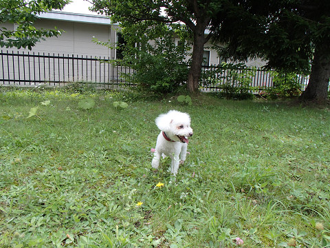 resize0140.jpg