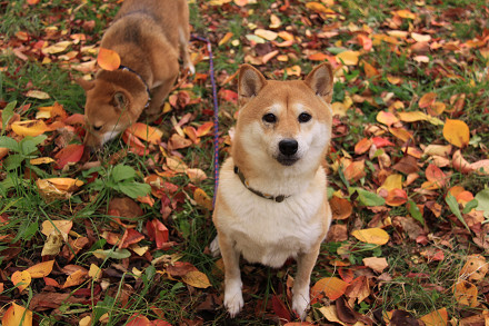 resize0140f.jpg