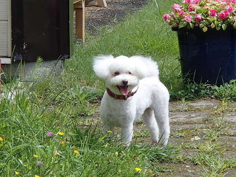 resize0142.jpg