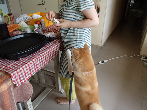 resize0143.jpg