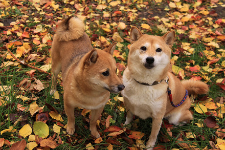resize0143f.jpg