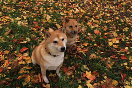 resize0144f.jpg