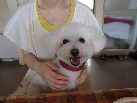 resize0145.jpg