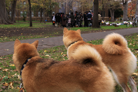 resize0148f.jpg