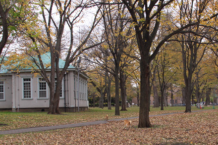 resize0151f.jpg