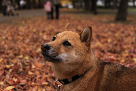 resize0164f.jpg