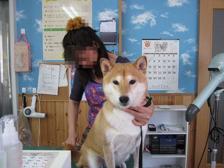 resize0252.jpg