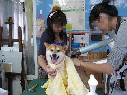 resize0262.jpg