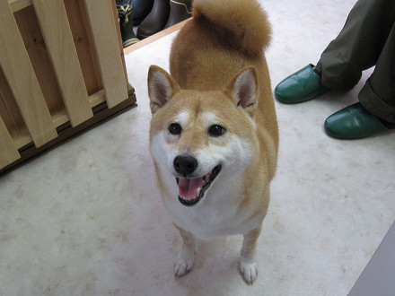 resize0267.jpg