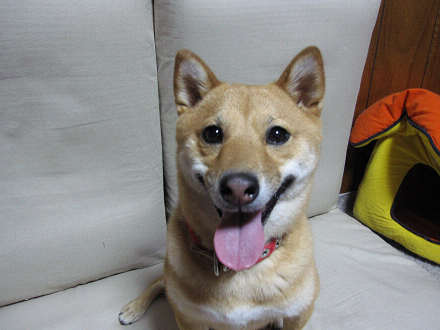 resize0274.jpg