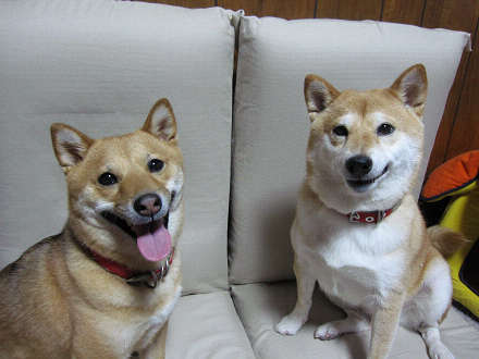resize0276.jpg