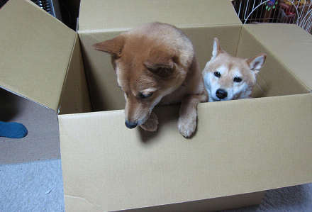 resize0280.jpg