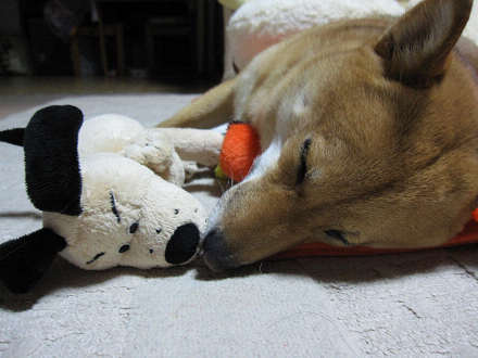resize0309.jpg