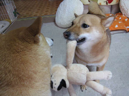 resize0312.jpg