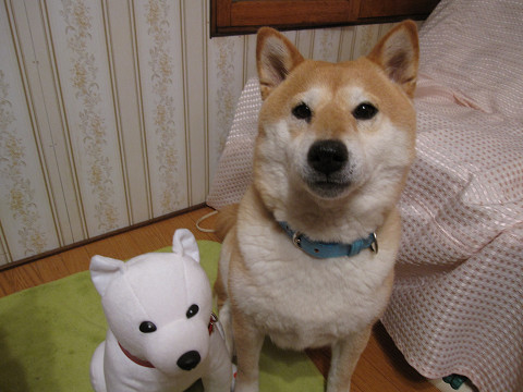 resize0684.jpg