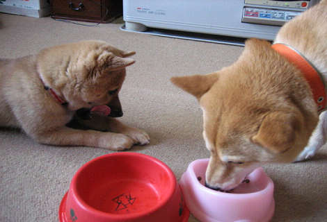 resize0909.jpg