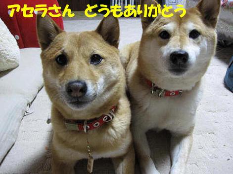 resize0921.jpg