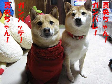 resize0922.jpg