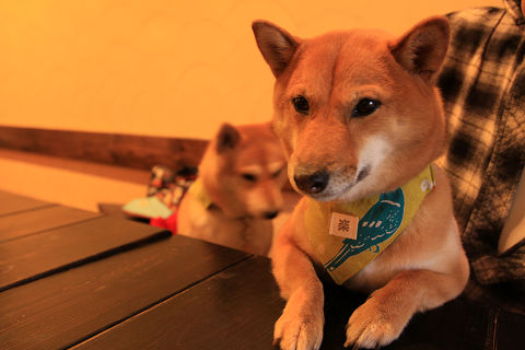 resize0933.jpg