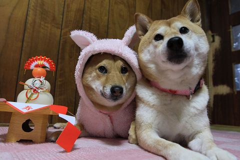 resize1008.jpg