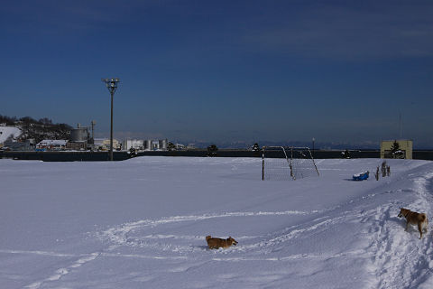 resize1015a.jpg