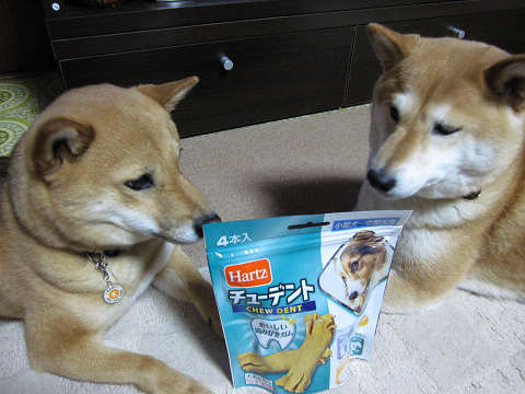 resize1036.jpg