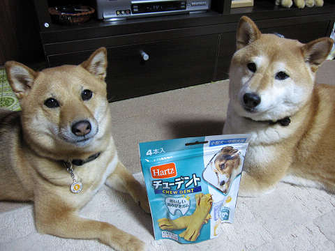 resize1037.jpg
