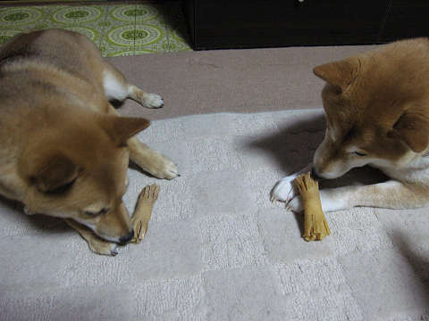 resize1038.jpg