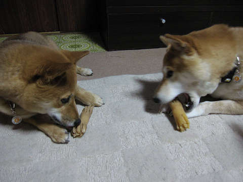 resize1039.jpg