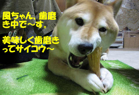 resize1040.jpg