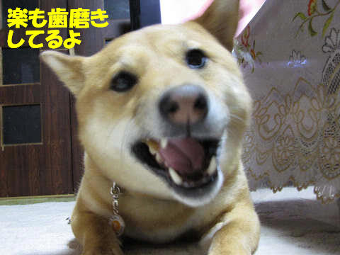 resize1041.jpg