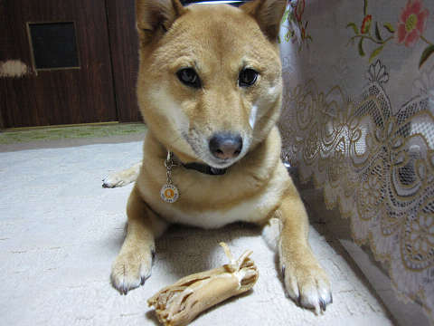 resize1043.jpg