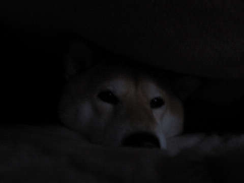 resize1044.jpg