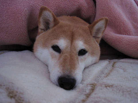 resize1046.jpg