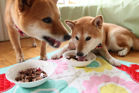 resize1060.jpg