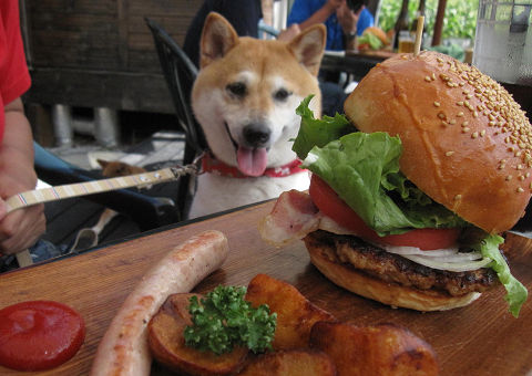 resize1067.jpg